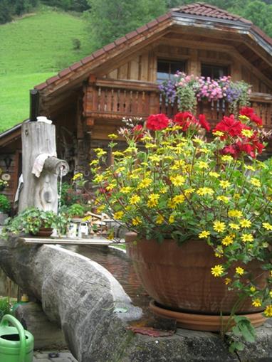 Frühstückspension: Auerhof