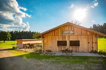 Frühstückspension: Zottl-Kino - Fürsterhof Ramsau