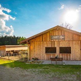Frühstückspension: Zottl-Kino - Fürsterhof Ramsau
