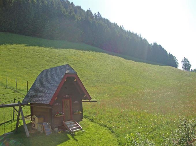 Frühstückspension: Walcherhof