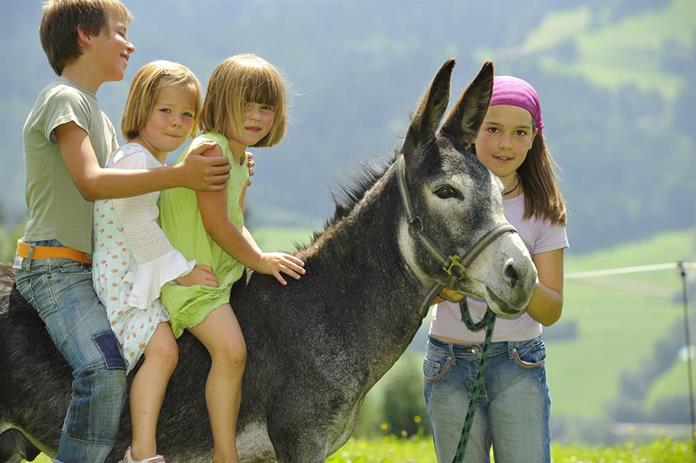 Pensionen - Gosau - Bio Bauernhof Leitenmüller