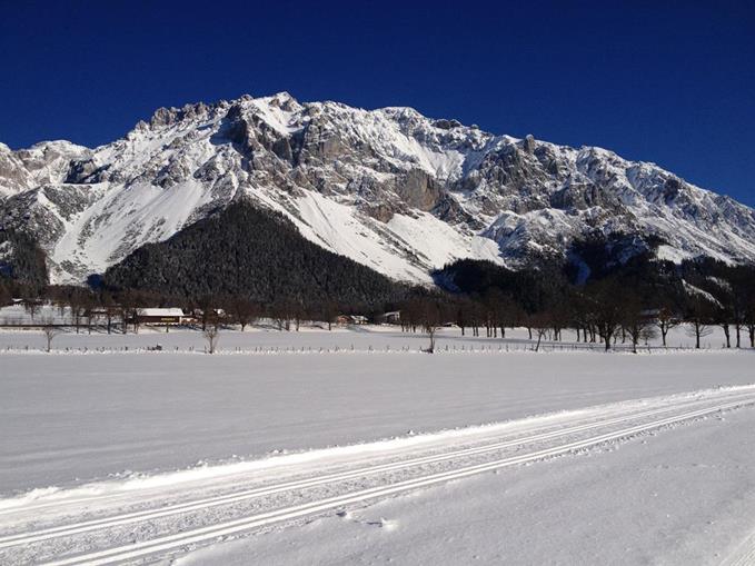 Pensionen - Frühstück: serviertes Frühstück - Ramsau am Dachstein - Pension Gsenger