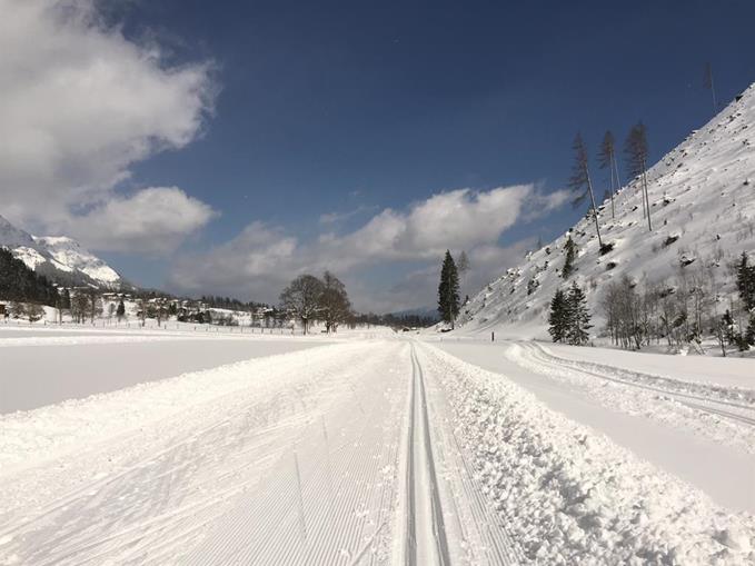 Pensionen - Frühstück: serviertes Frühstück - Ramsau am Dachstein - Pension Gsenger