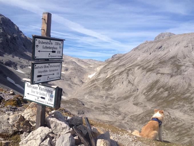 Pensionen - Frühstück: serviertes Frühstück - Ramsau am Dachstein - Pension Gsenger
