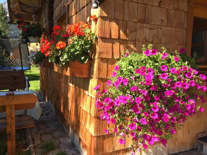 Frühstückspension: Pension Gsenger