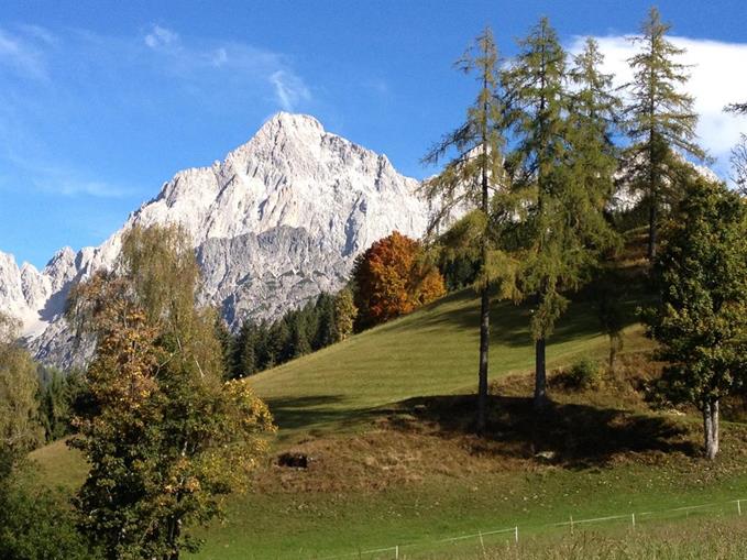 Frühstückspension: Pension Gsenger