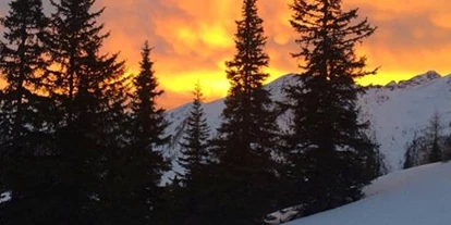 Pensionen - Hunde: erlaubt - Ramsau am Dachstein - Berggasthof Scharfetter & TOMiziel