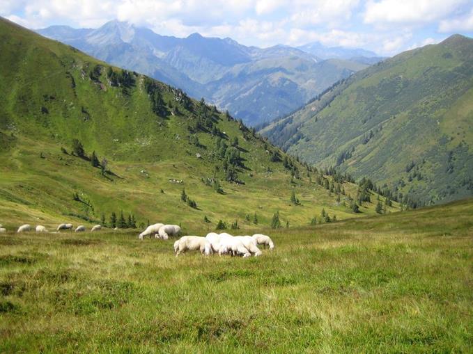 Frühstückspension: Bauernhof Zick