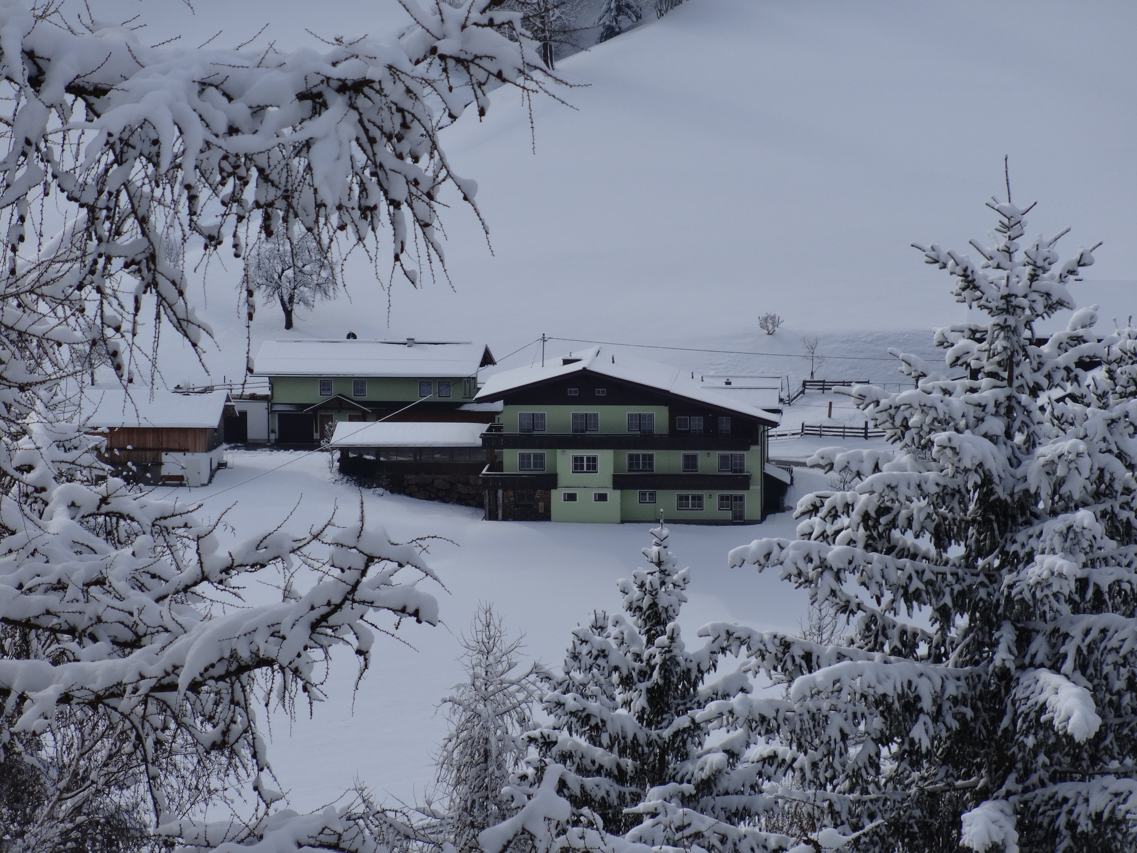 Frühstückspension: Winter bei uns in der Steiermark  - Entingerhof