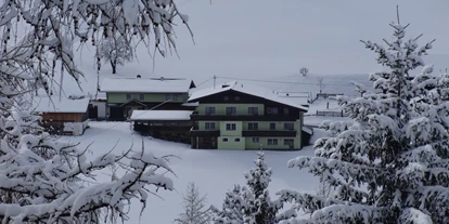 Pensionen - Parkplatz: kostenlos bei der Pension - Hallstatt - Winter bei uns in der Steiermark  - Entingerhof
