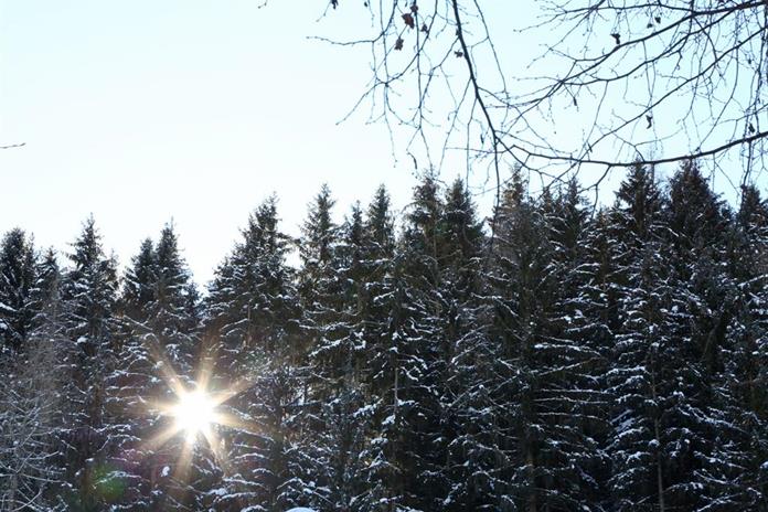 Frühstückspension: Rosspointnerhof