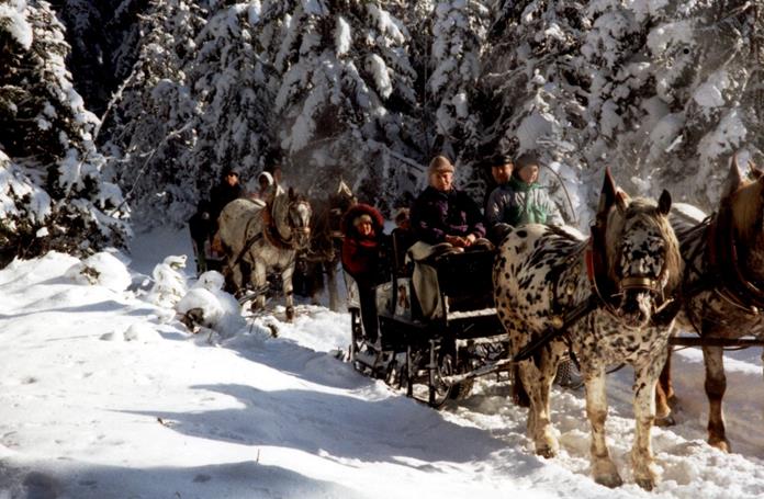 Frühstückspension: Pitzerhof