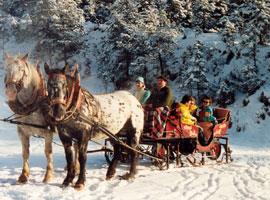 Frühstückspension: Pitzerhof