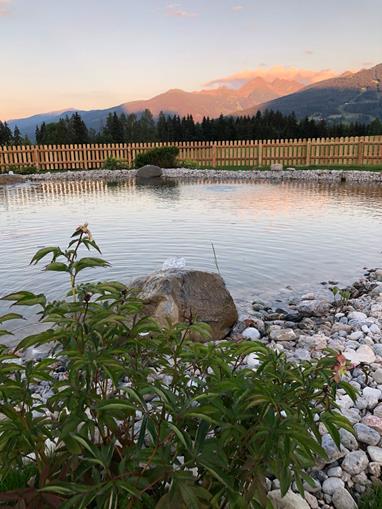Pensionen - WLAN - Bad Mitterndorf - Bacherhof