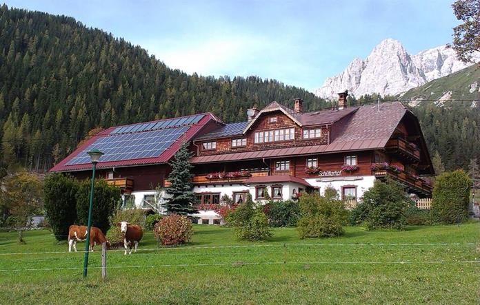 Pensionen - WLAN - Bad Mitterndorf - Bio-Bauernhof Schütterhof