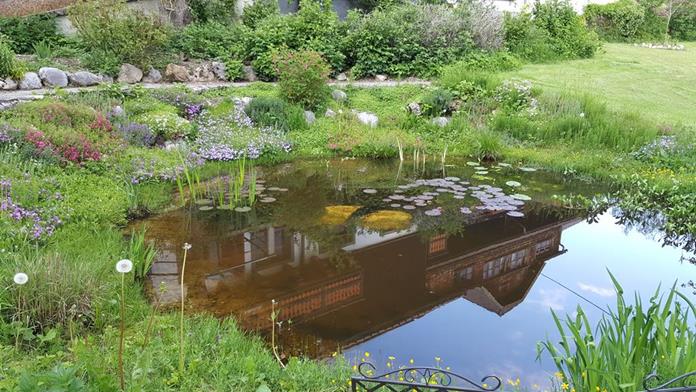 Frühstückspension: Bio-Bauernhof Schütterhof