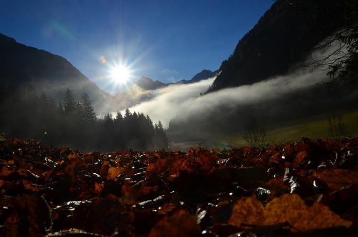 Pensionen - WLAN - Bad Mitterndorf - Gasthof Tetter