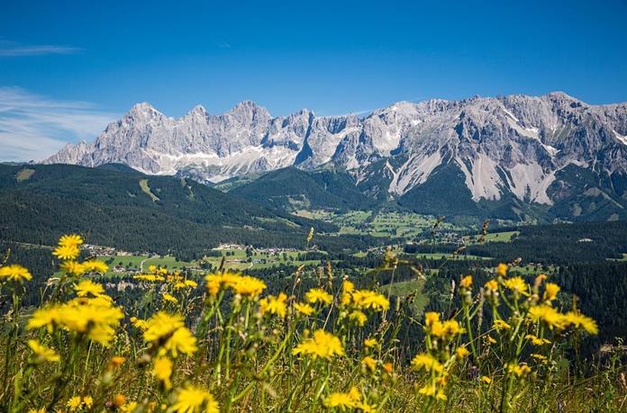 Frühstückspension: Dachsteinhof