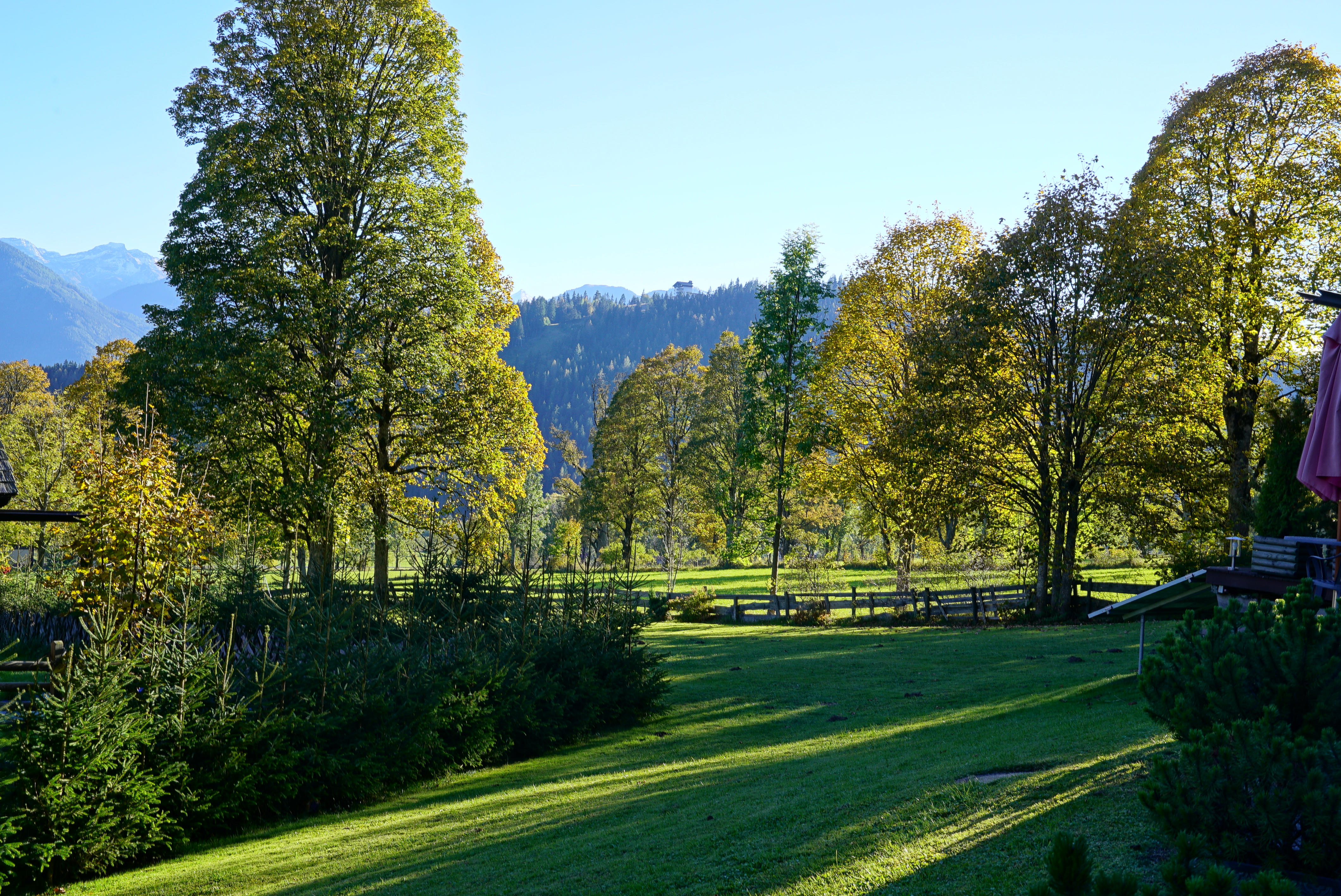 Pensionen - Frühstück: Frühstücksbuffet - Hallstatt - Blick in den Garten - Dachsteinhof