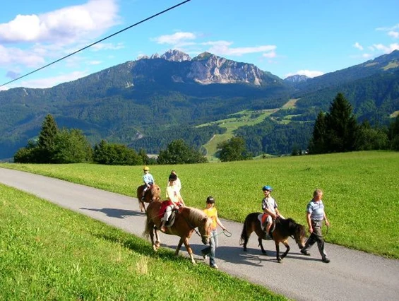 Frühstückspension: Reiten am Schabushof - Historischer Bauernhof Schabus