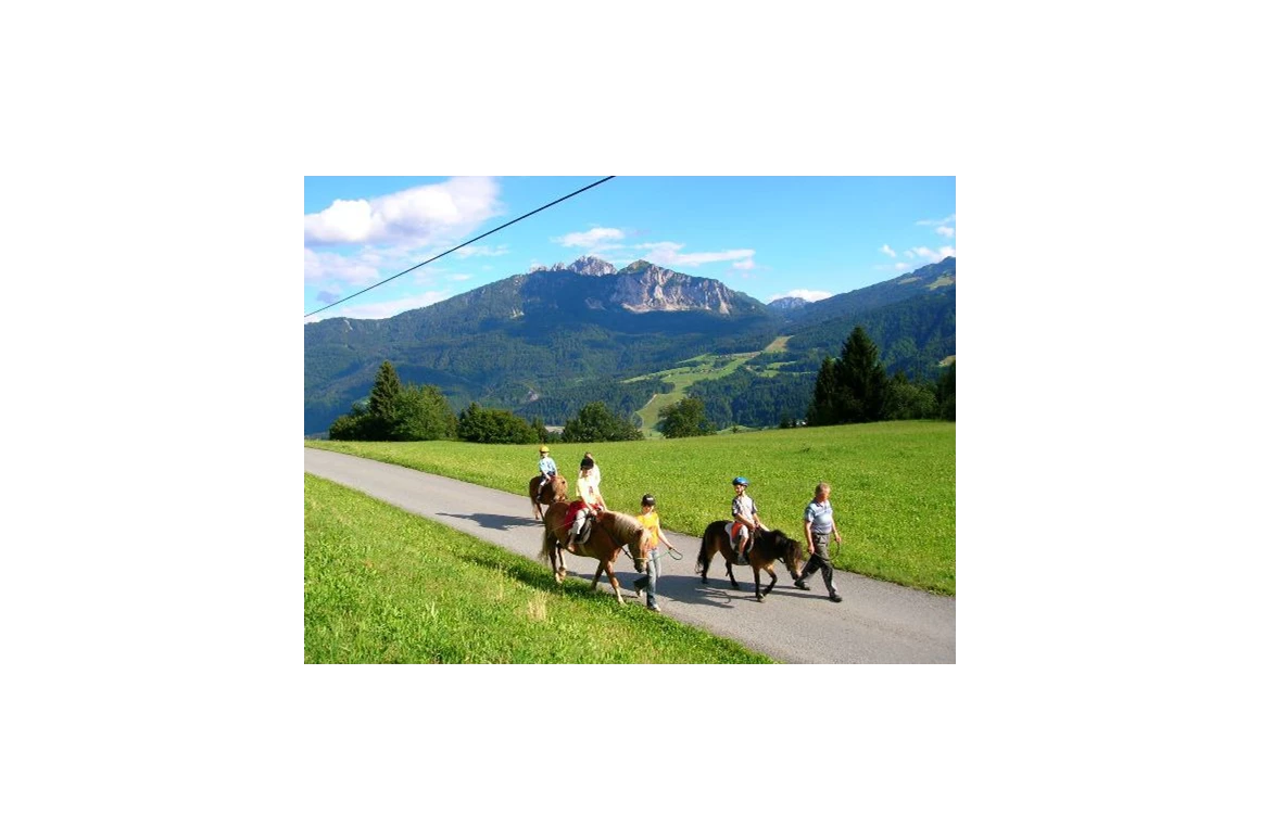 Frühstückspension: Reiten am Schabushof - Historischer Bauernhof Schabus
