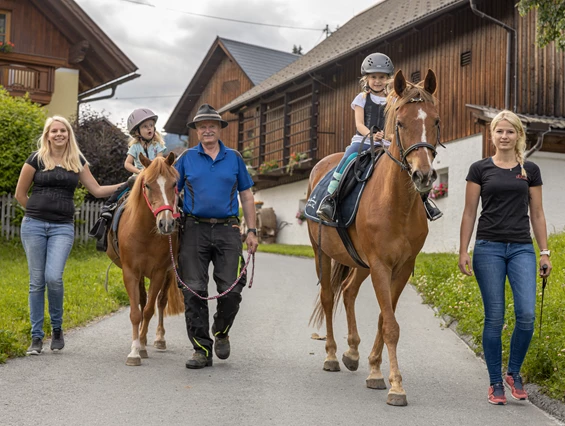 Frühstückspension: Eine Abendrunde mit den Pferden - Historischer Bauernhof Schabus