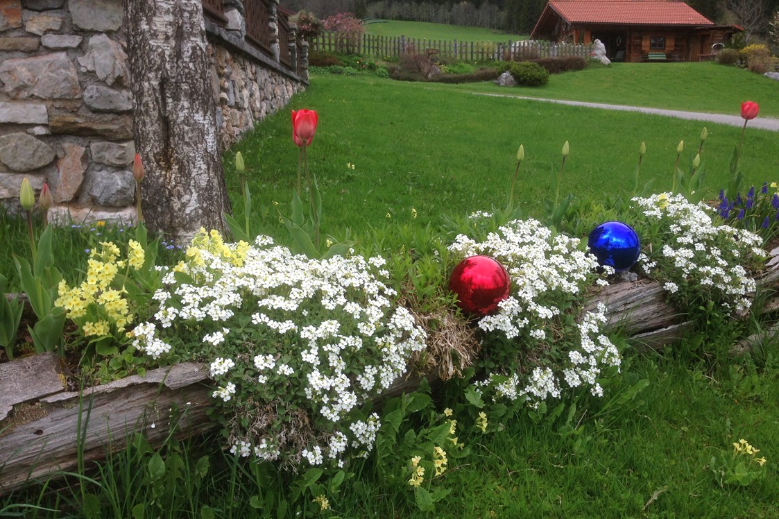 Frühstückspension: Frühlingsblumen im alten Brunnen - Bio-Bauernhof Simonbauer