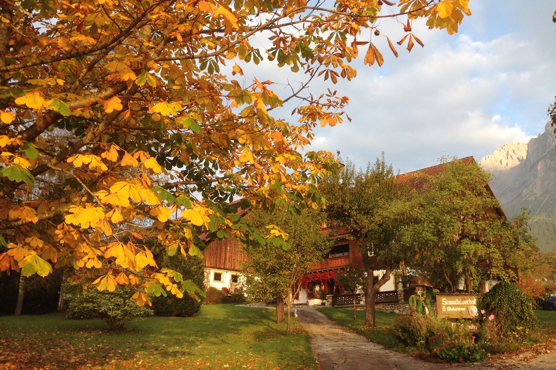 Frühstückspension: ein herrlicher Herbsttag - Bio-Bauernhof Simonbauer