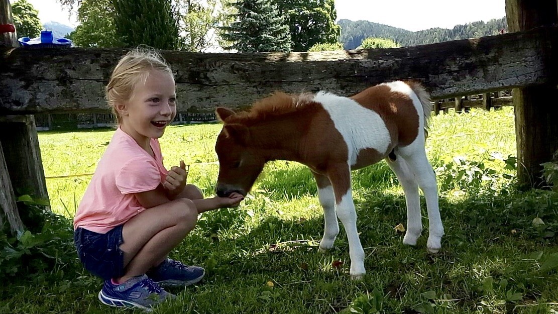 Frühstückspension: da treffen sich wohl 2 Kinder !!! - Bio-Bauernhof Simonbauer