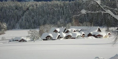 Pensionen - Parkplatz: kostenlos bei der Pension - Hallstatt - hintere Nord-Winter Ansicht - Bio-Bauernhof Simonbauer
