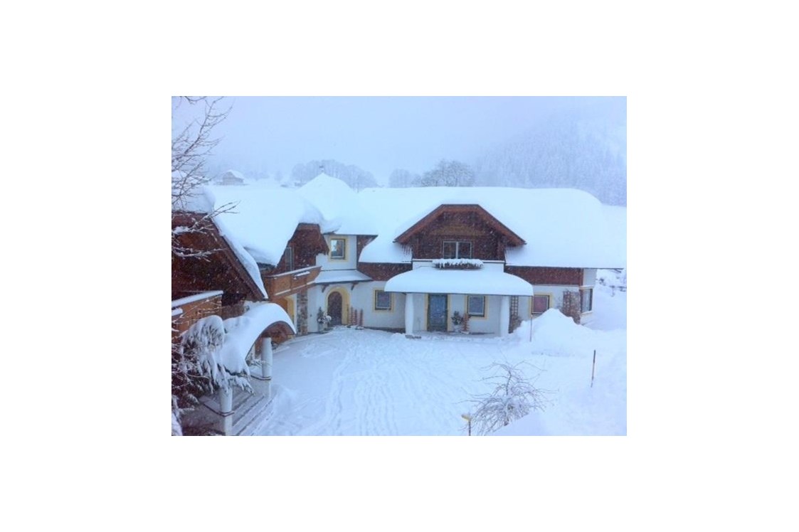 Frühstückspension: Schneetreiben - Bio-Bauernhof Simonbauer