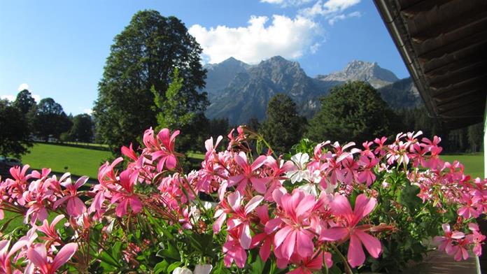 Frühstückspension: HOtel & Pension Leit’n Franz