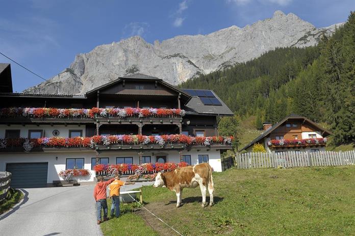 Frühstückspension: Feichtlehnerhof