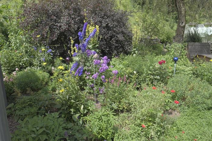 Pensionen - WLAN - Samerberg - Kräuterpension Aloisia