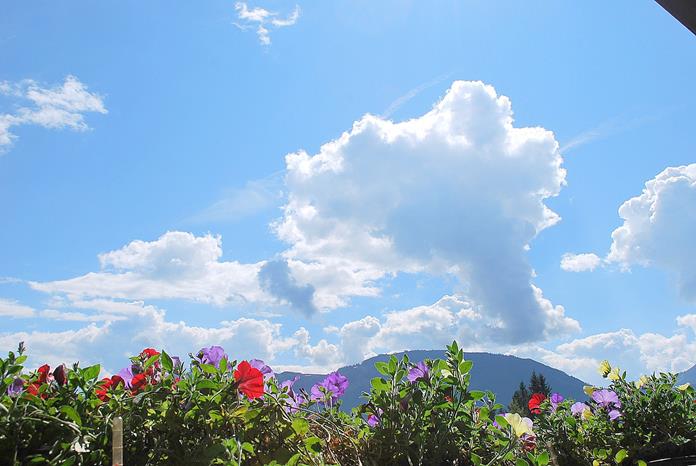 Frühstückspension: Pension Gasthaus Bärnstatt