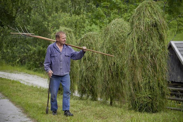 Frühstückspension: Frühstückspension Margit