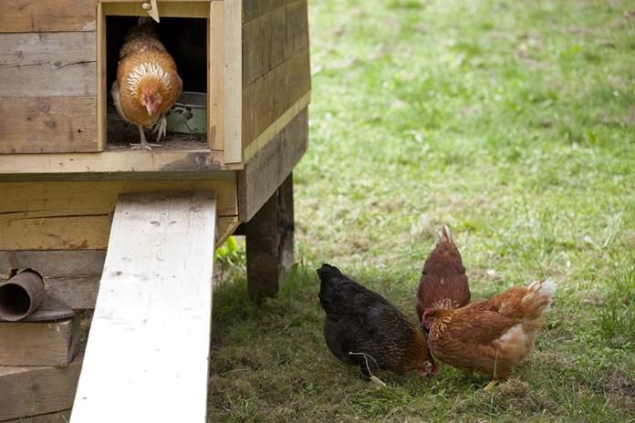 Frühstückspension: Frühstückspension Margit