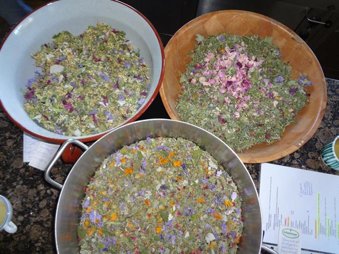 Pensionen - WLAN - Bad Mitterndorf - Frienerhof