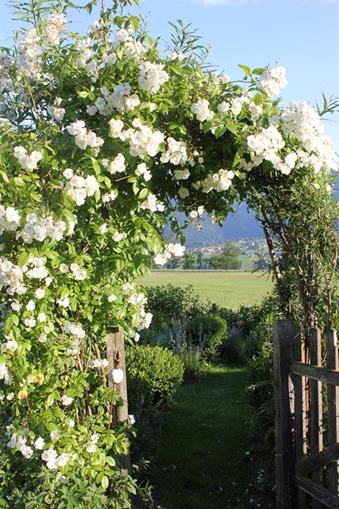 Pensionen - WLAN - Bad Mitterndorf - Frienerhof