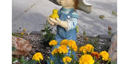 Pensionen - Hunde: erlaubt - Ramsau am Dachstein - Peterbauerhof