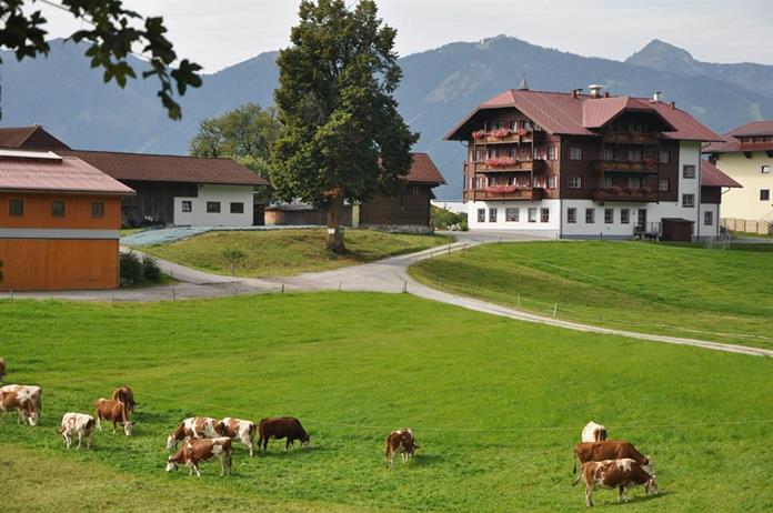 Frühstückspension: Peterbauerhof