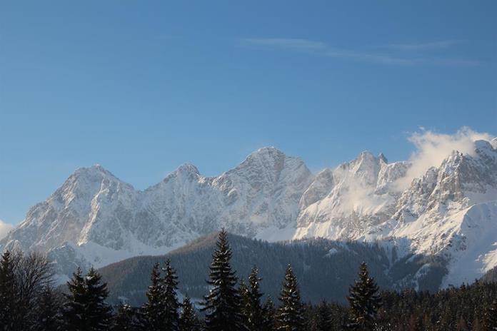 Frühstückspension: Schneebergerhof