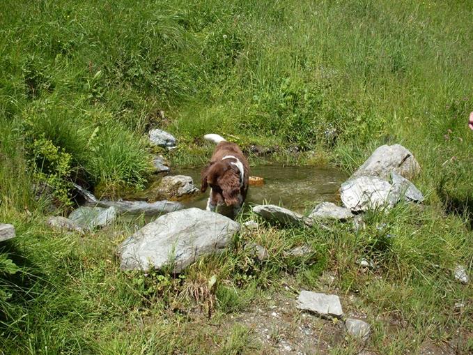 Frühstückspension: Irxnerhof