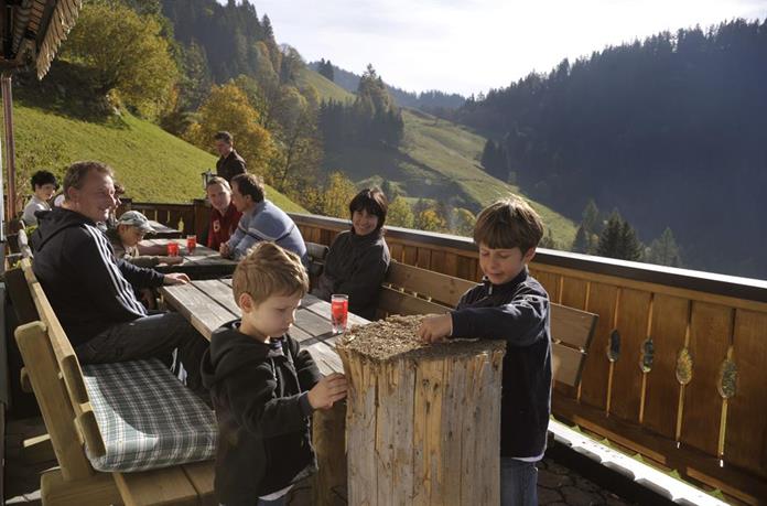 Frühstückspension: Irxnerhof