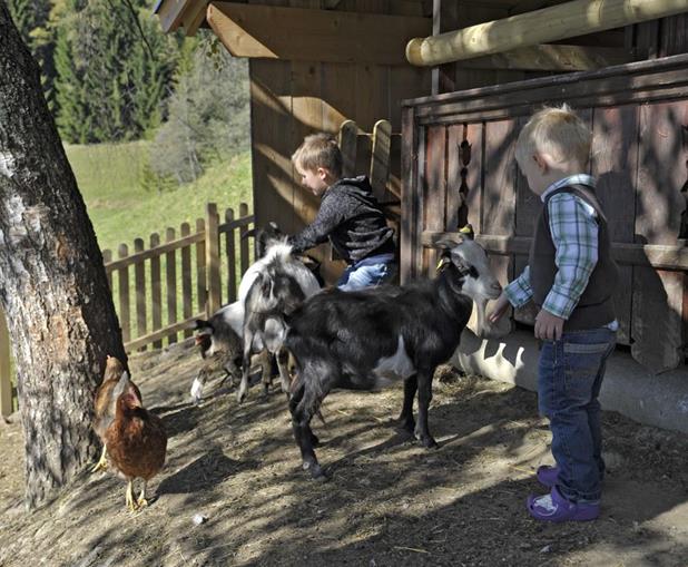 Frühstückspension: Irxnerhof