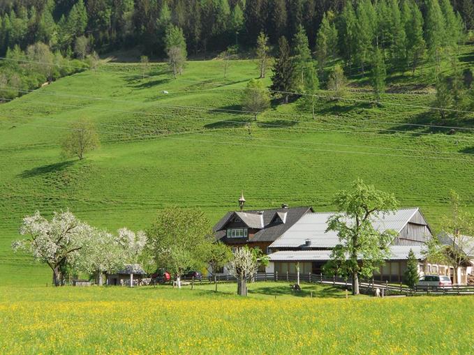 Pensionen - Mariapfarr - Weitgasserhof