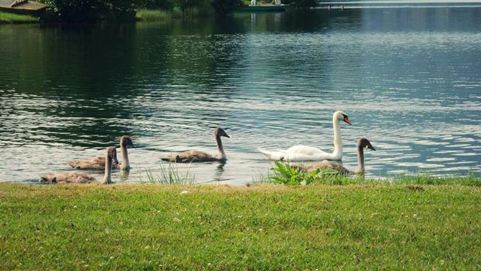 Frühstückspension: Haus Bichl