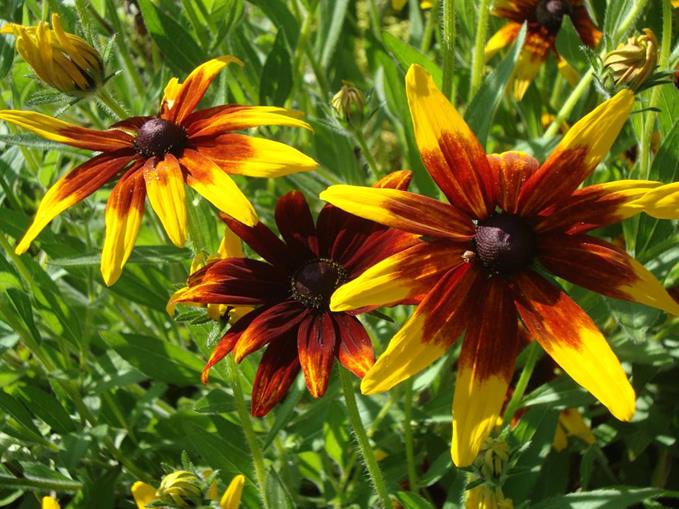 Frühstückspension: Frühstückspension Krönhof