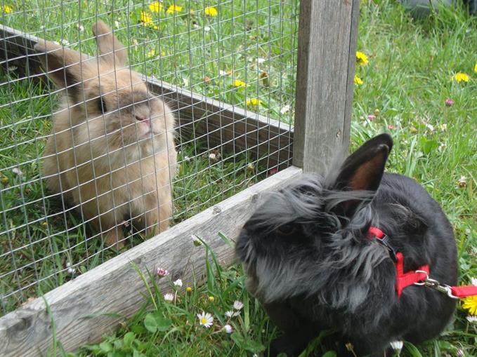 Frühstückspension: Frühstückspension Krönhof