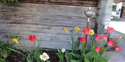 Pensionen - Hunde: erlaubt - Ramsau am Dachstein - Deutlhauserhof